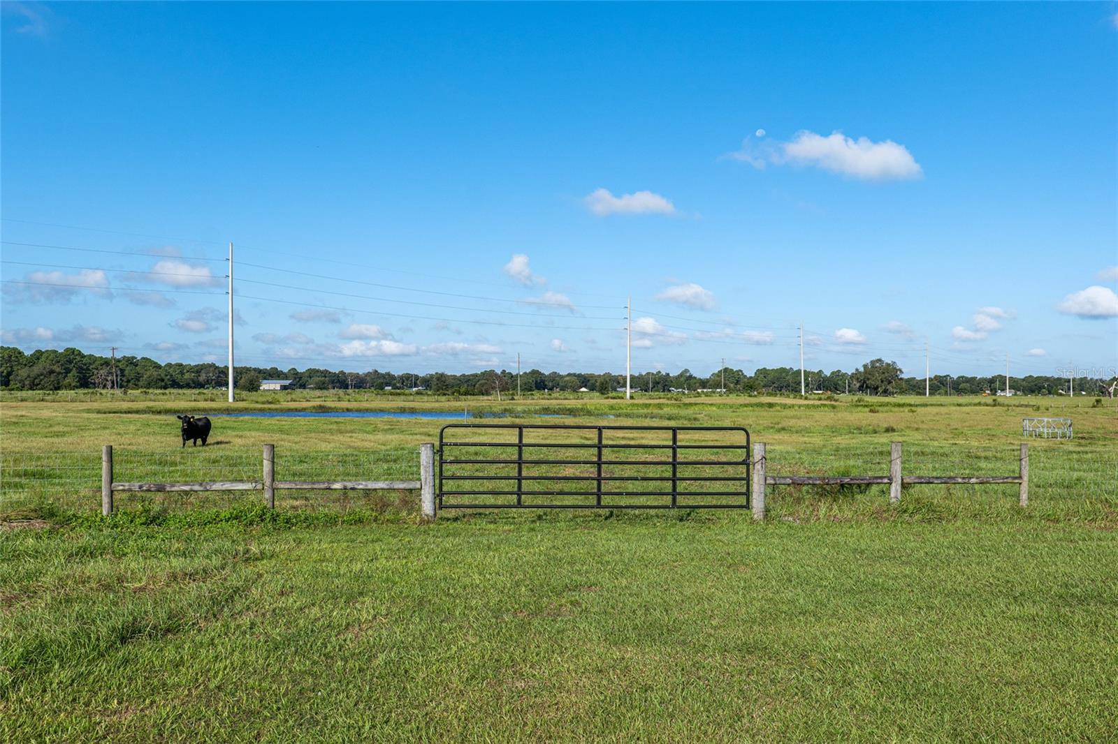 4027 N C 470, LAKE PANASOFFKEE, FL, 33538