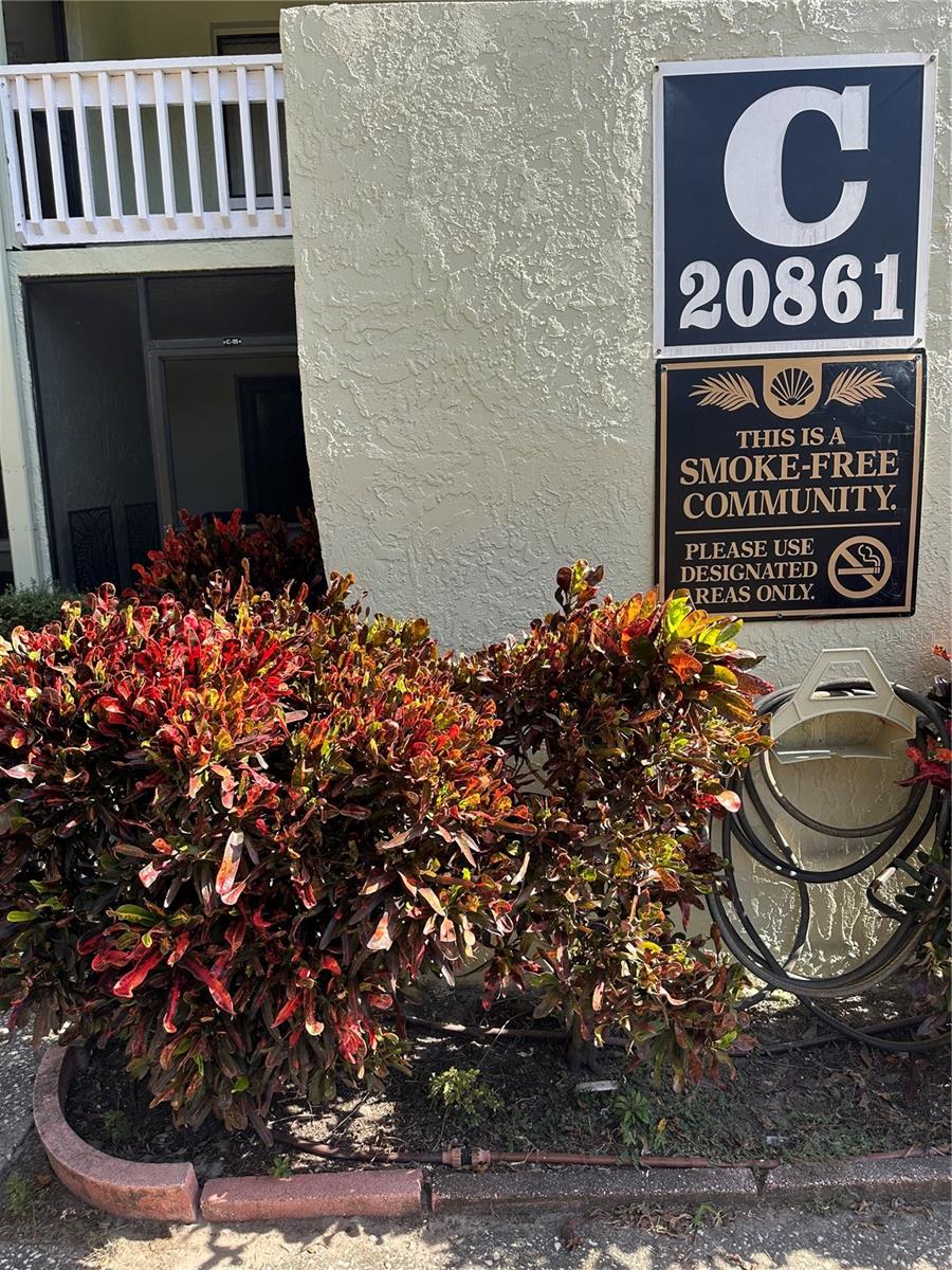 20861 HAULOVER CV #5, LUTZ, FL, 33558