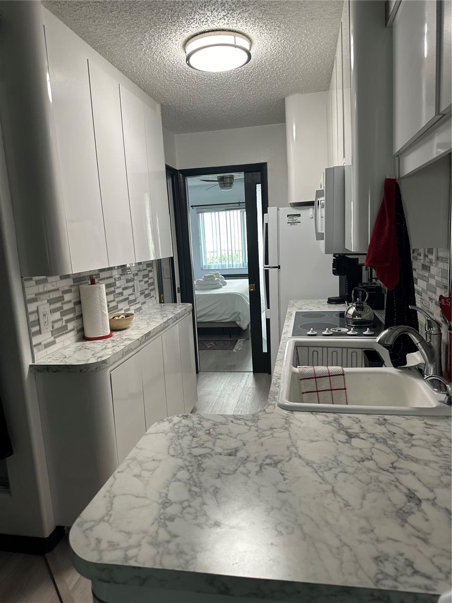 20861 HAULOVER CV #5, LUTZ, FL, 33558