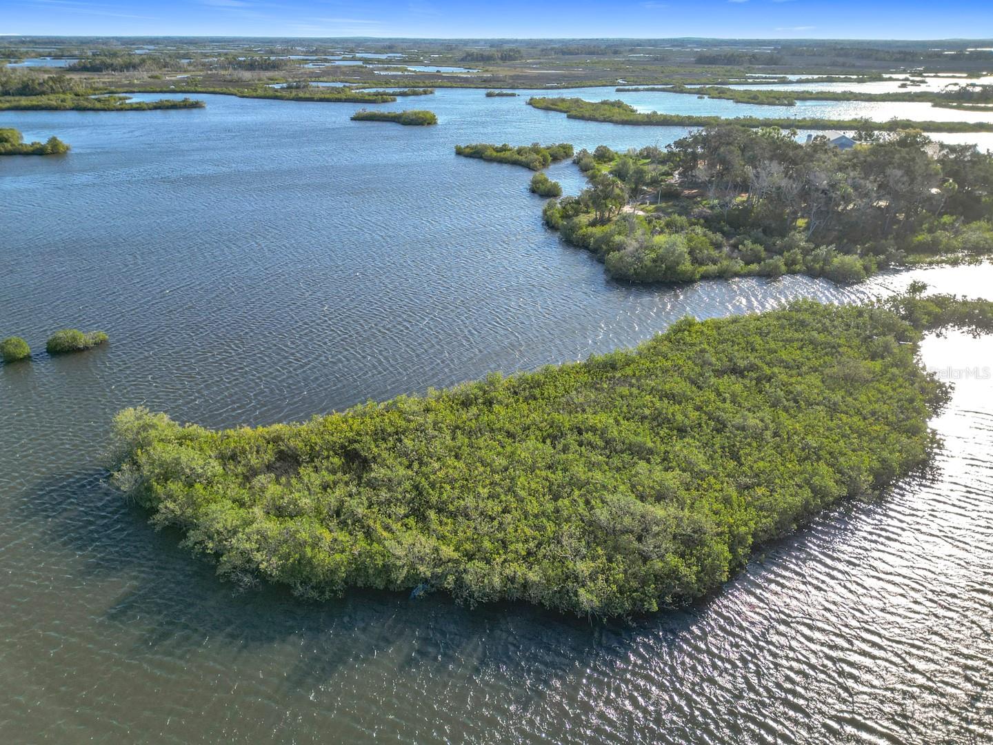 14101 W ST MARTINS RD, CRYSTAL RIVER, FL, 34429
