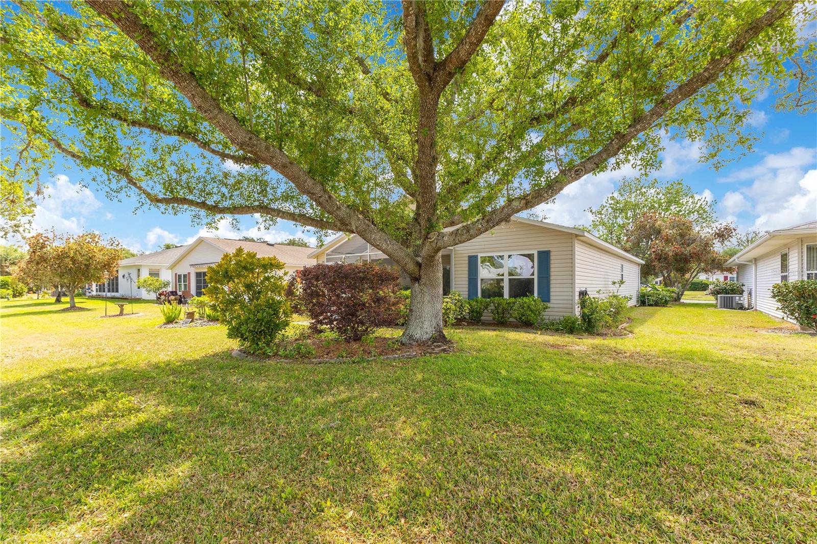 815 OLD OAKS LN, LEESBURG, FL, 34748