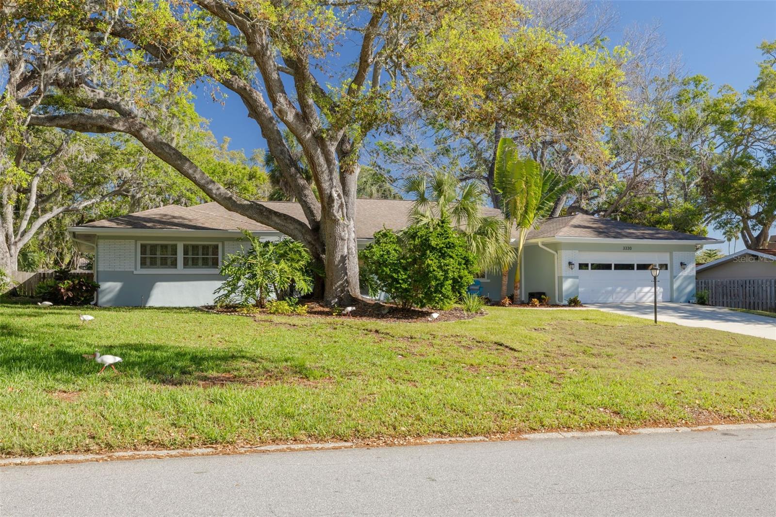 3330 SAN BERNADINO ST, CLEARWATER, FL, 33759