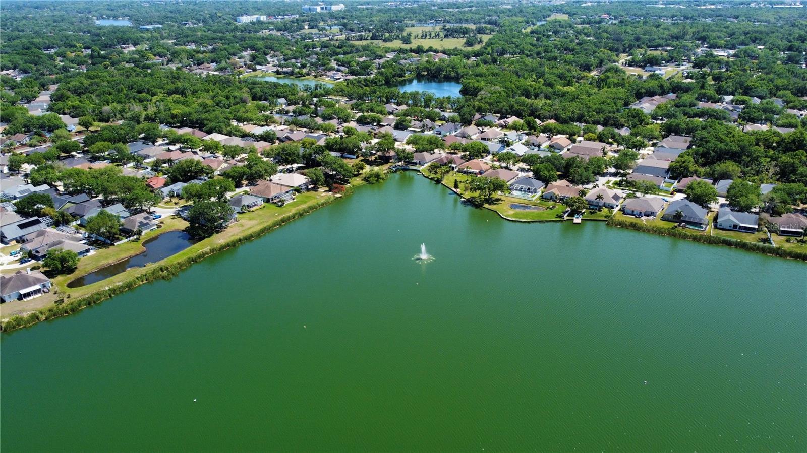 7123 COLONIAL LAKE DR, RIVERVIEW, FL, 33578