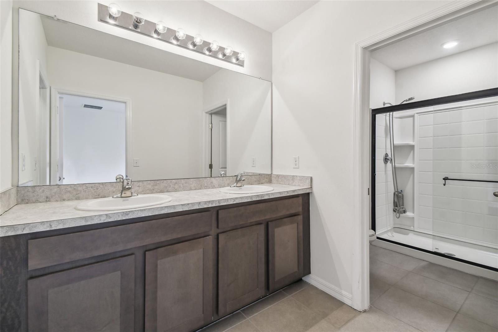 16170 TRADITIONAL BLUFF PL, ODESSA, FL, 33556