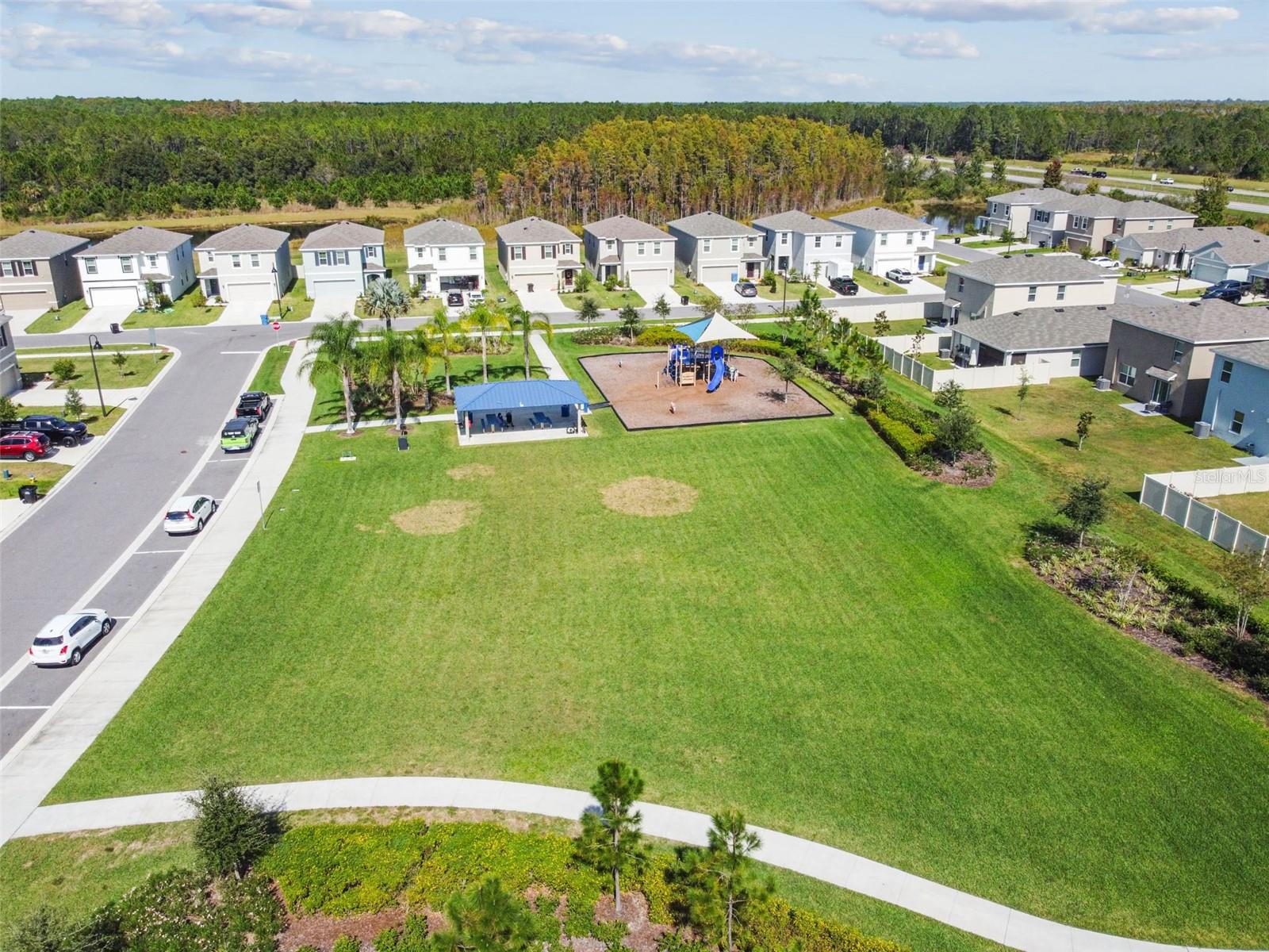 16170 TRADITIONAL BLUFF PL, ODESSA, FL, 33556