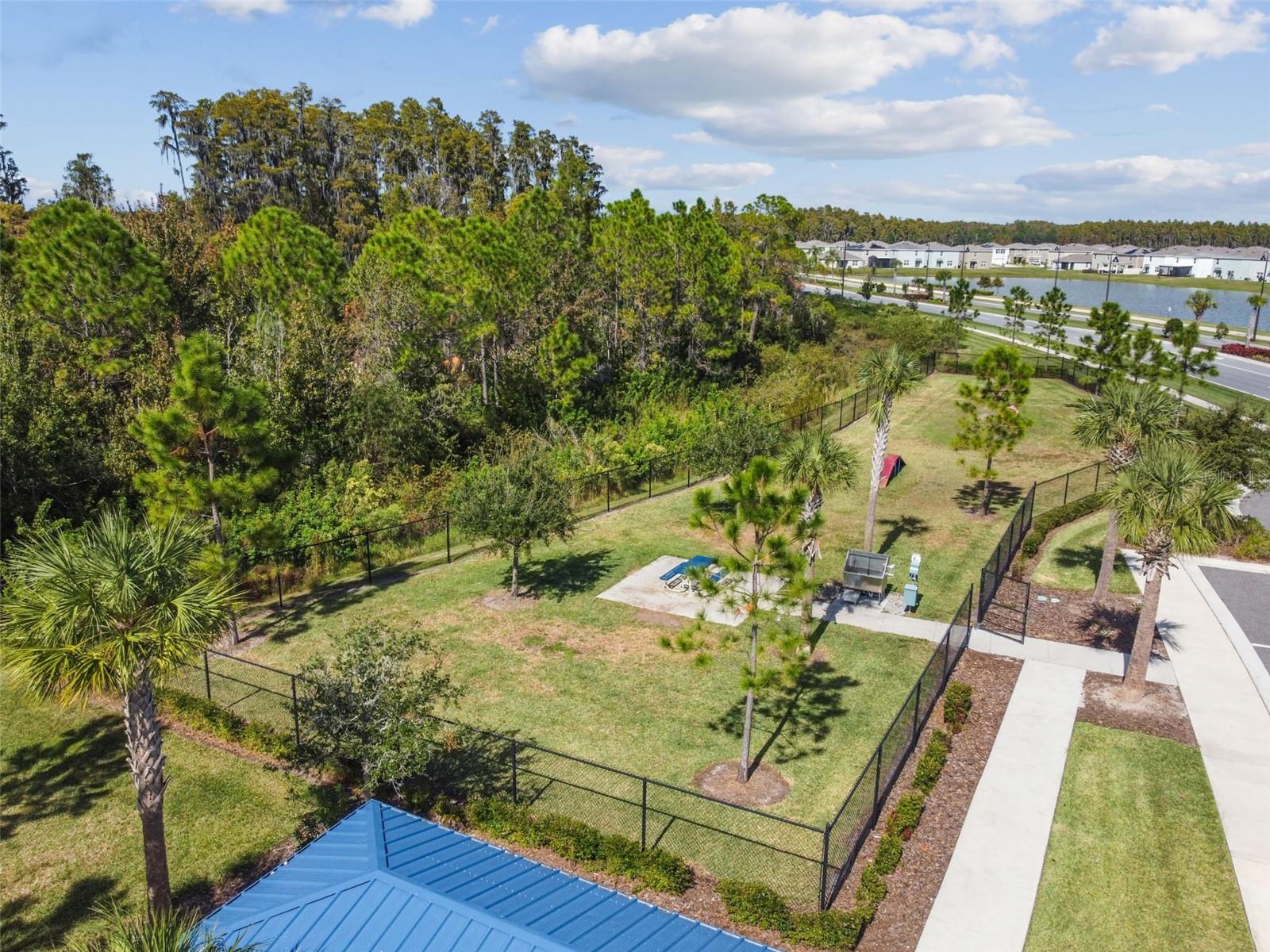 16170 TRADITIONAL BLUFF PL, ODESSA, FL, 33556