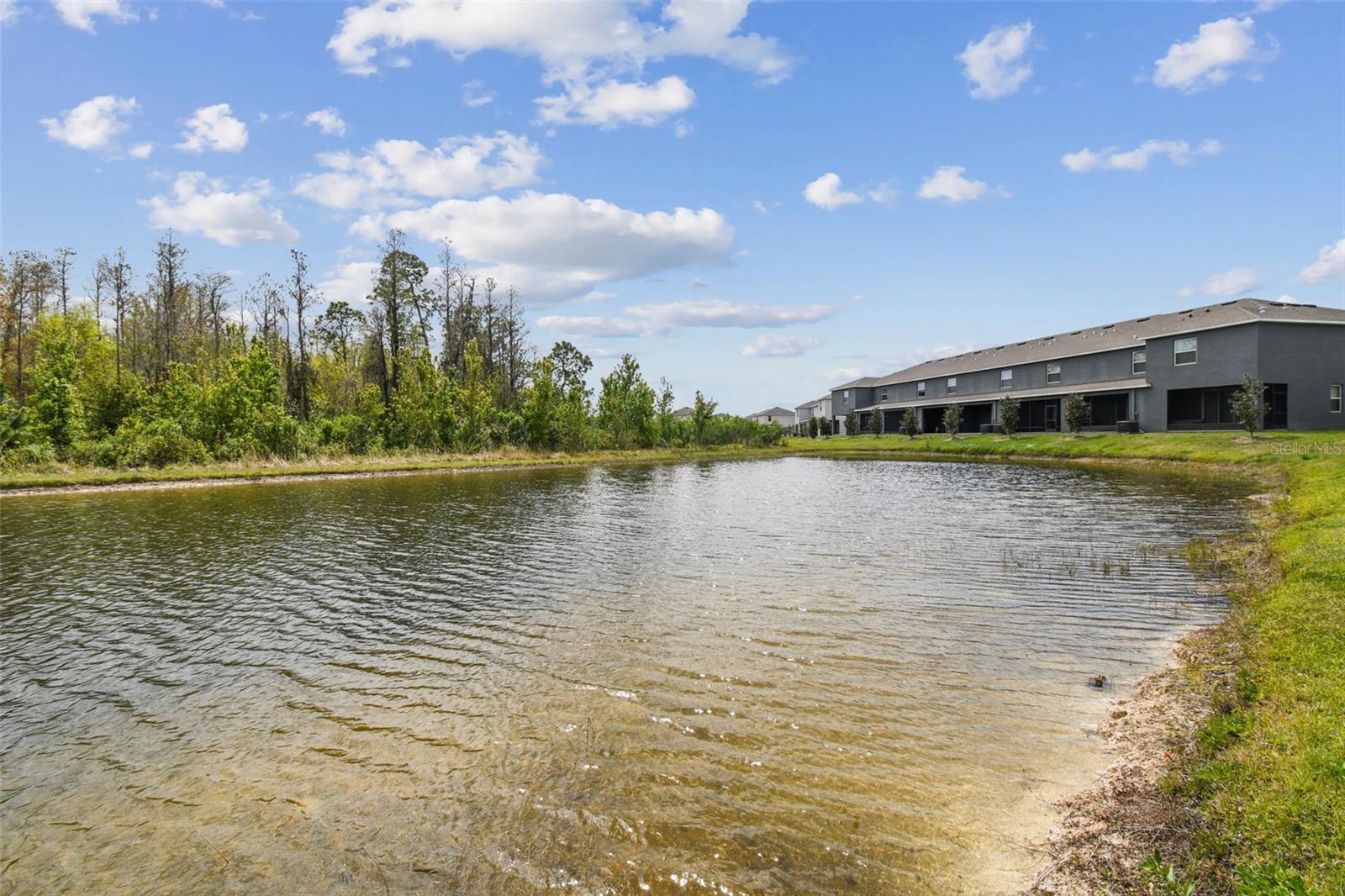 16170 TRADITIONAL BLUFF PL, ODESSA, FL, 33556
