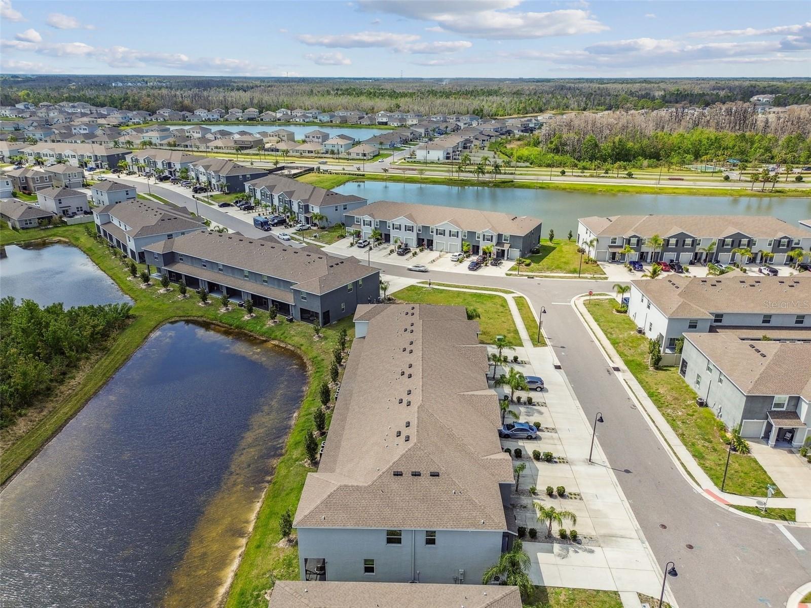 16170 TRADITIONAL BLUFF PL, ODESSA, FL, 33556