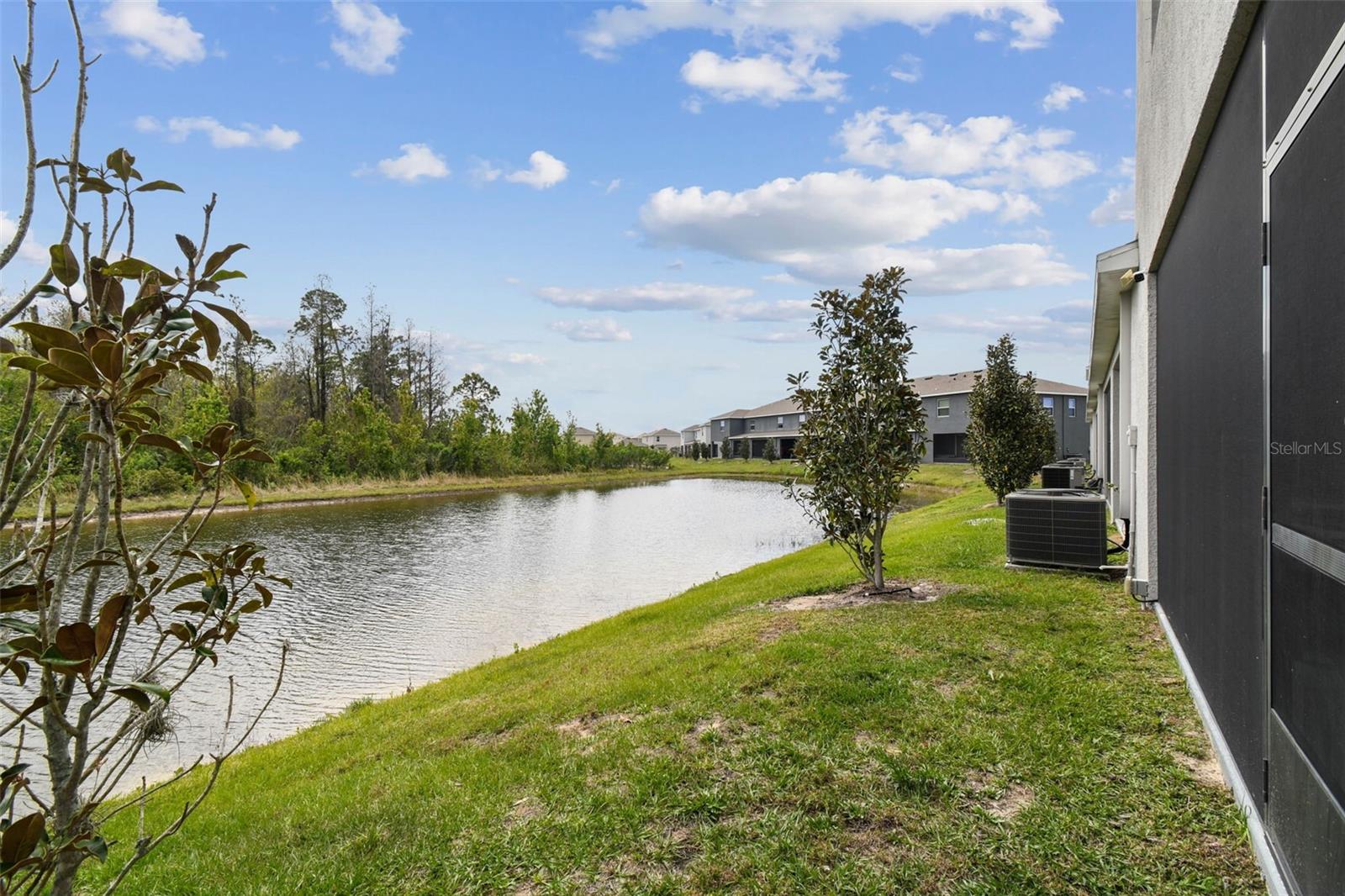 16170 TRADITIONAL BLUFF PL, ODESSA, FL, 33556