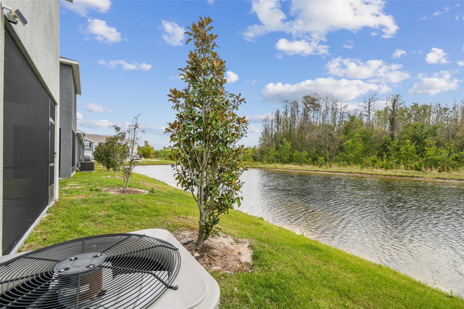 16170 TRADITIONAL BLUFF PL, ODESSA, FL, 33556