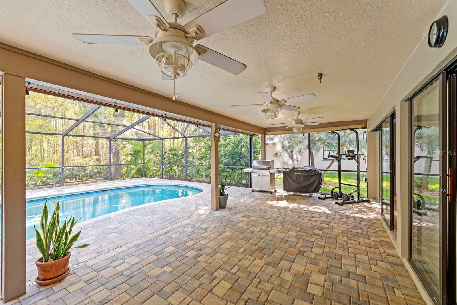 3342 WEDGEWOOD WAY, TARPON SPRINGS, FL, 34688