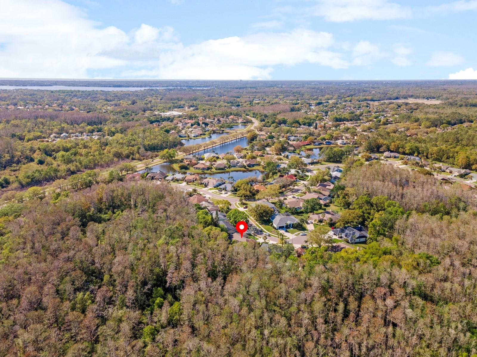 3342 WEDGEWOOD WAY, TARPON SPRINGS, FL, 34688