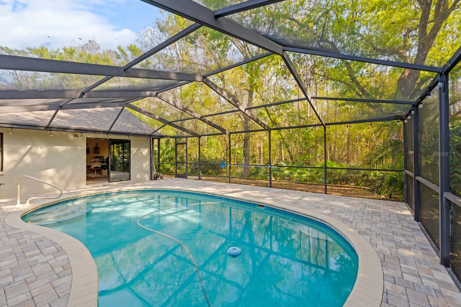 3342 WEDGEWOOD WAY, TARPON SPRINGS, FL, 34688