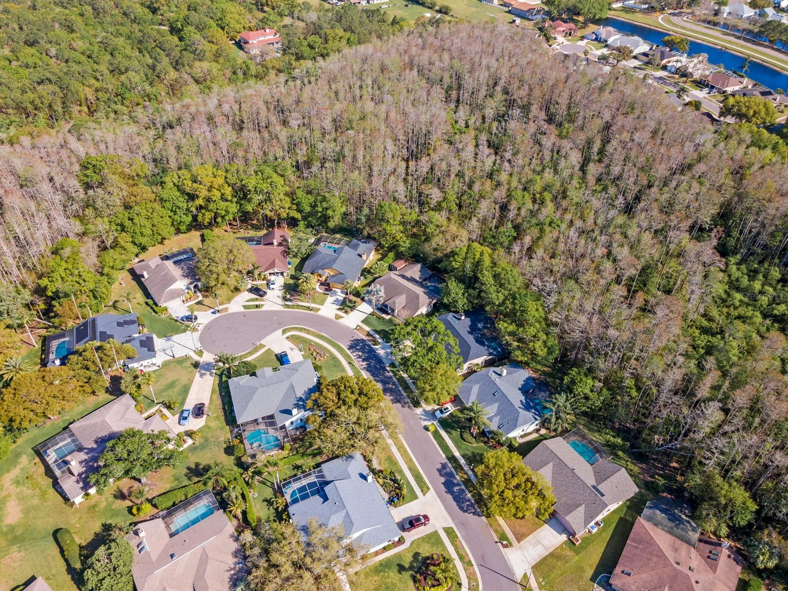 3342 WEDGEWOOD WAY, TARPON SPRINGS, FL, 34688