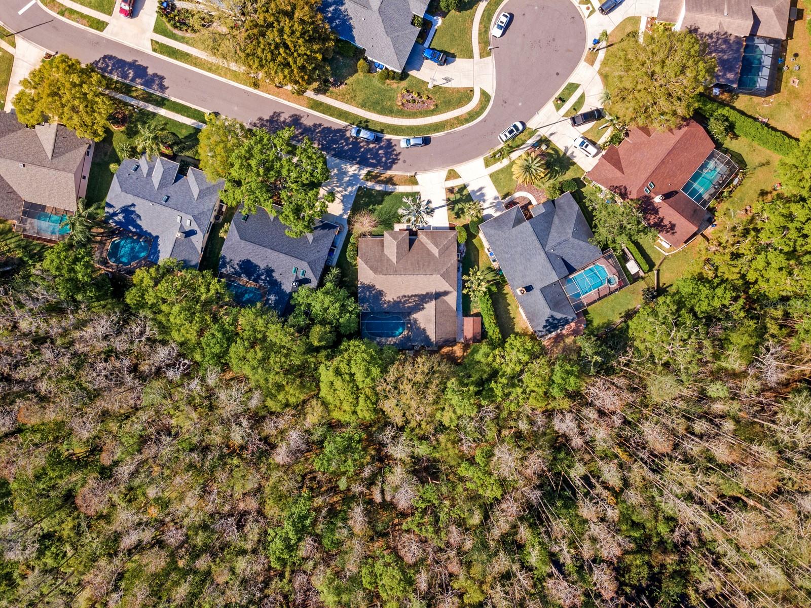 3342 WEDGEWOOD WAY, TARPON SPRINGS, FL, 34688