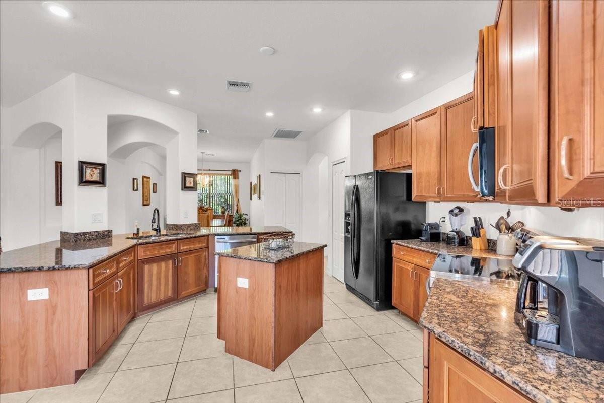 209 AUSTRALIAN DR, ROTONDA WEST, FL, 33947