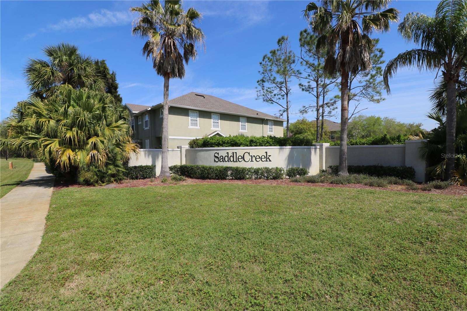 27841 PLEASURE RIDE LOOP, WESLEY CHAPEL, FL, 33544