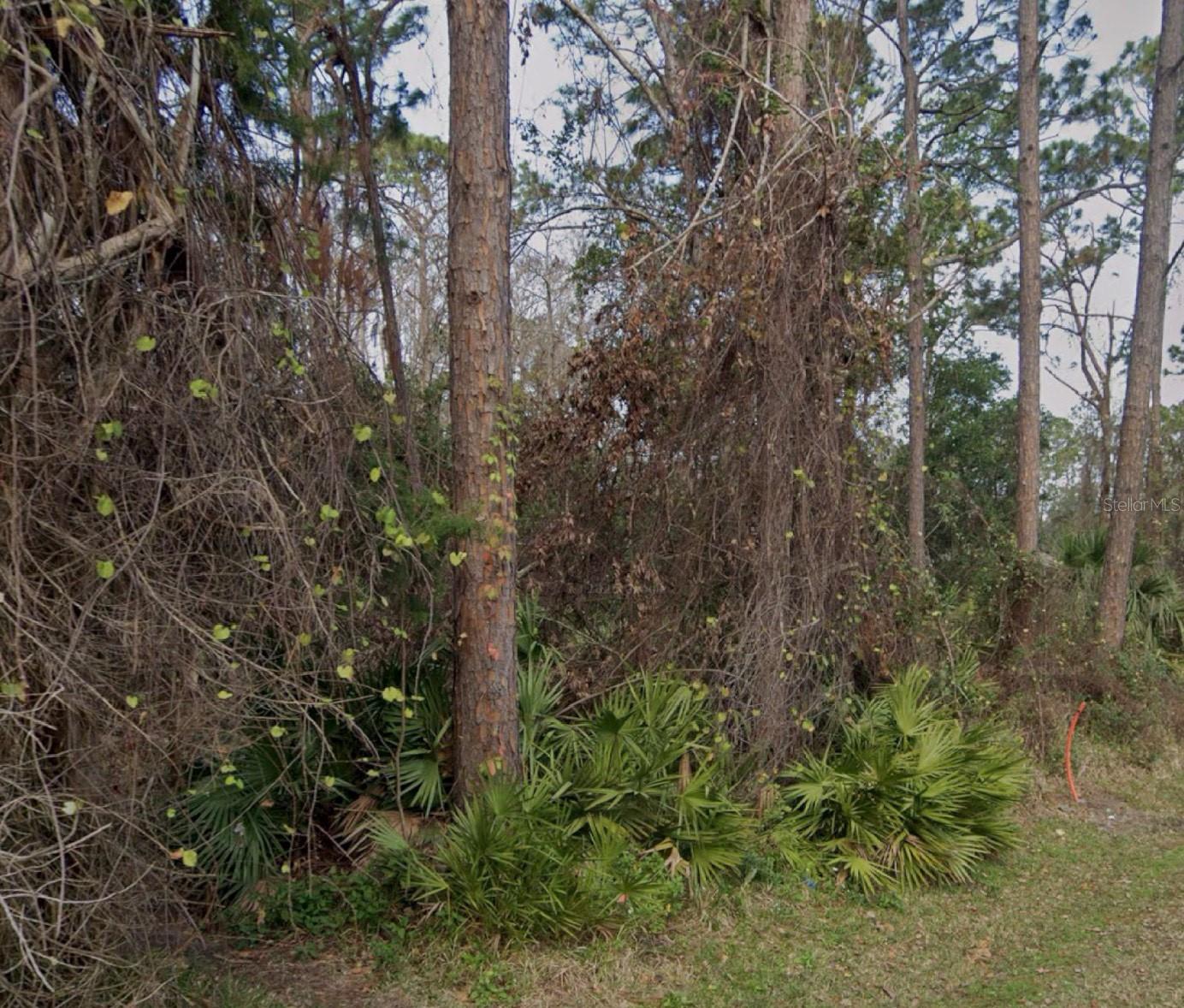 5 ZANZIBAR BALSAN CT, PALM COAST, FL, 32164