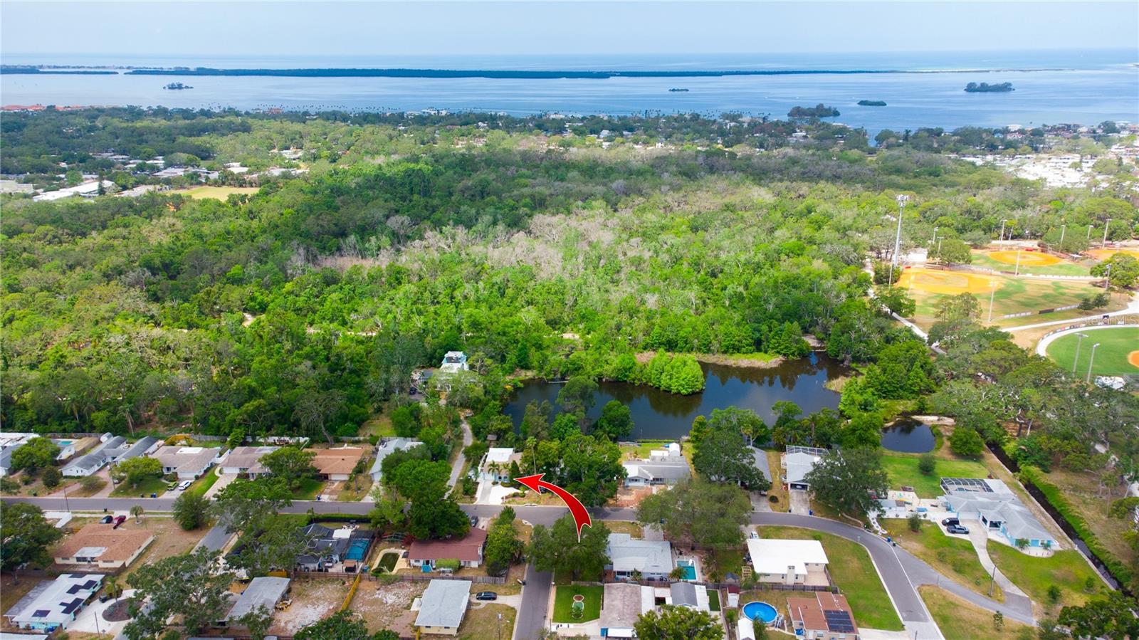 1754 PATRICIA AVE, DUNEDIN, FL, 34698