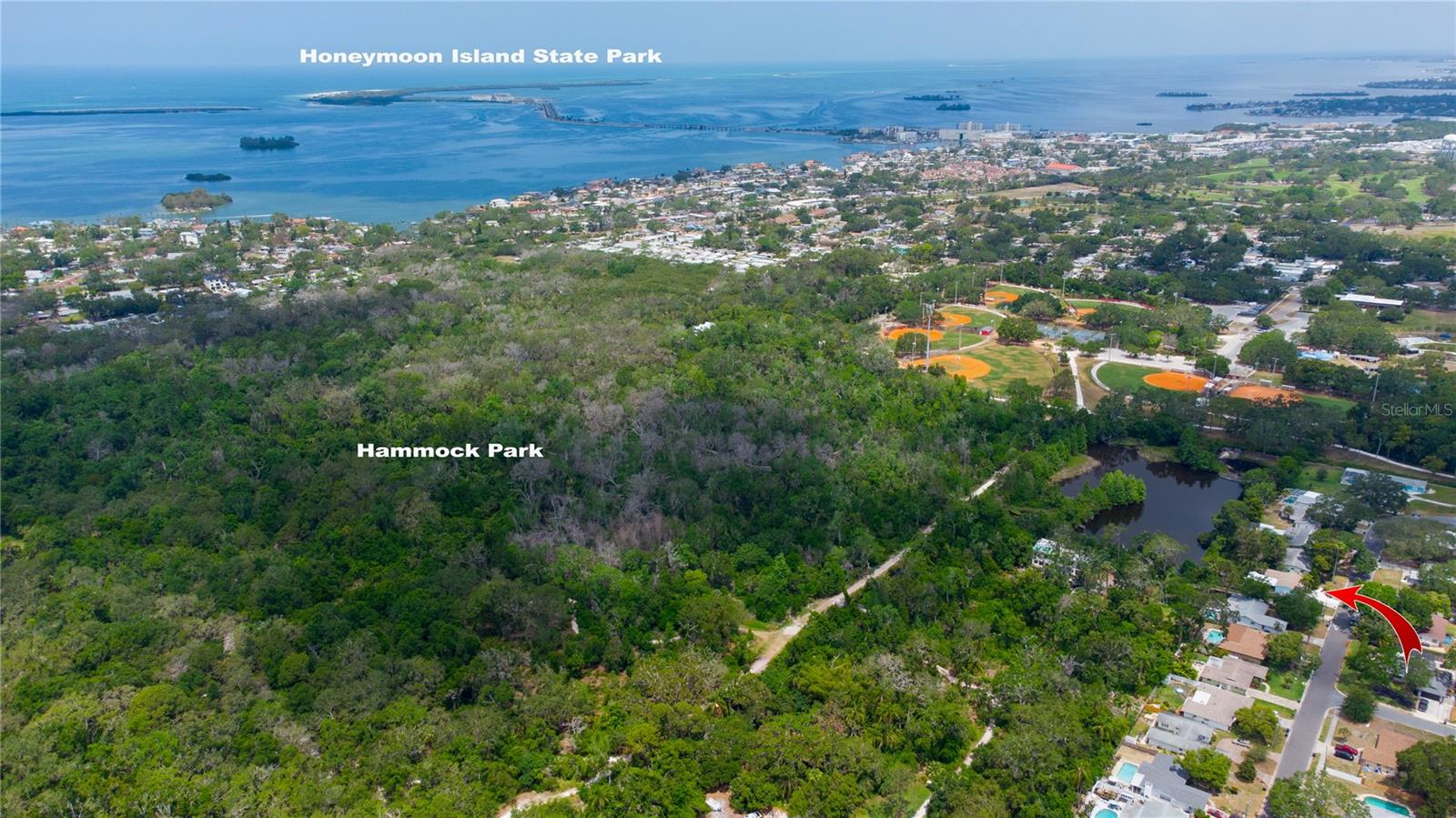 1754 PATRICIA AVE, DUNEDIN, FL, 34698