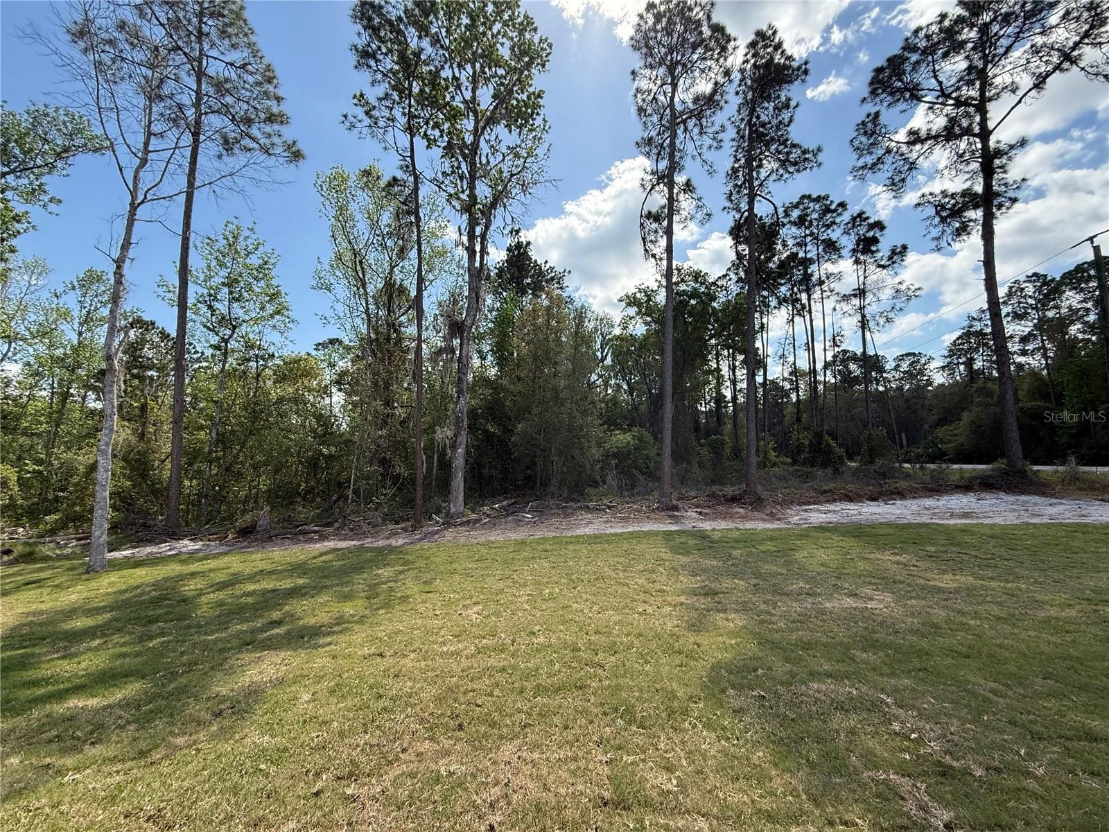 103 MILLS ST, CRESCENT CITY, FL, 32112