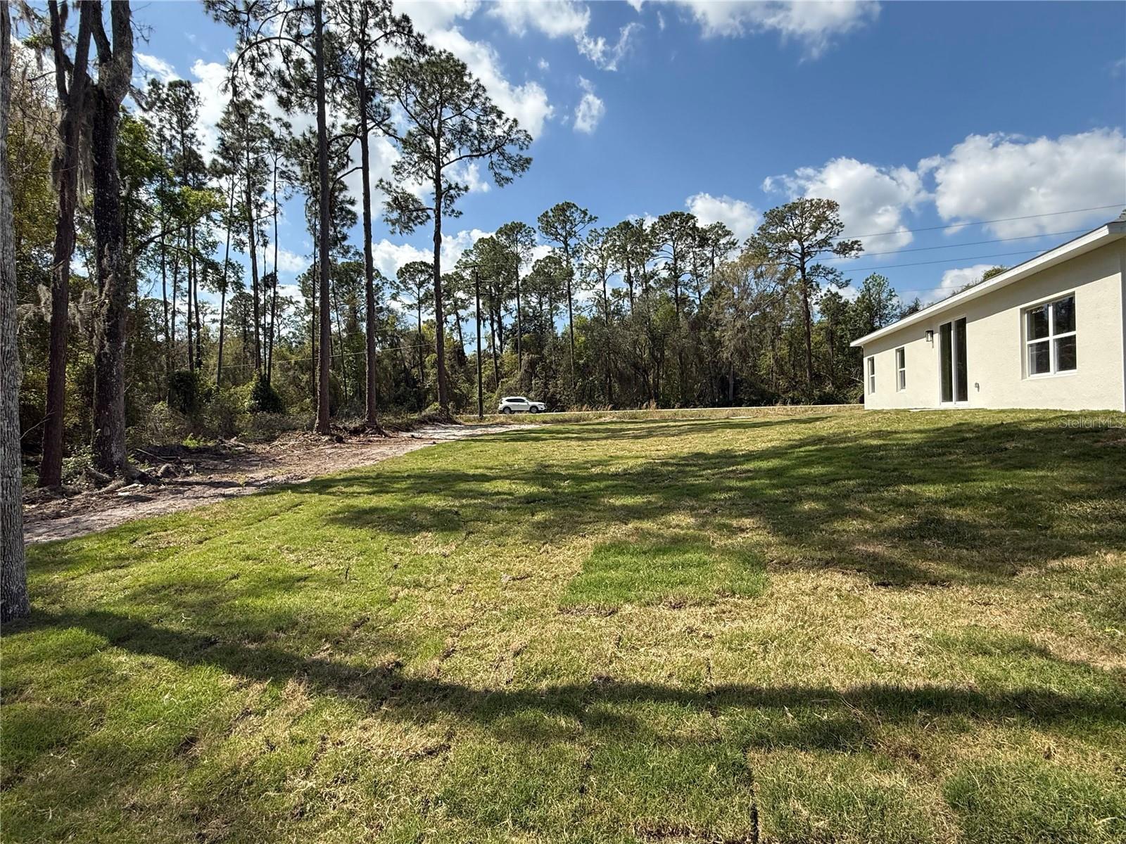 103 MILLS ST, CRESCENT CITY, FL, 32112