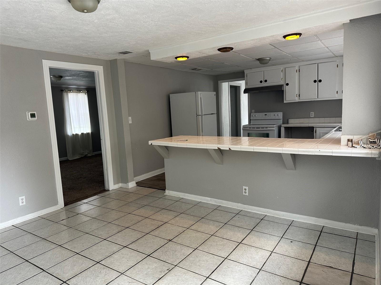 1006 W MORSE ST, PLANT CITY, FL, 33563