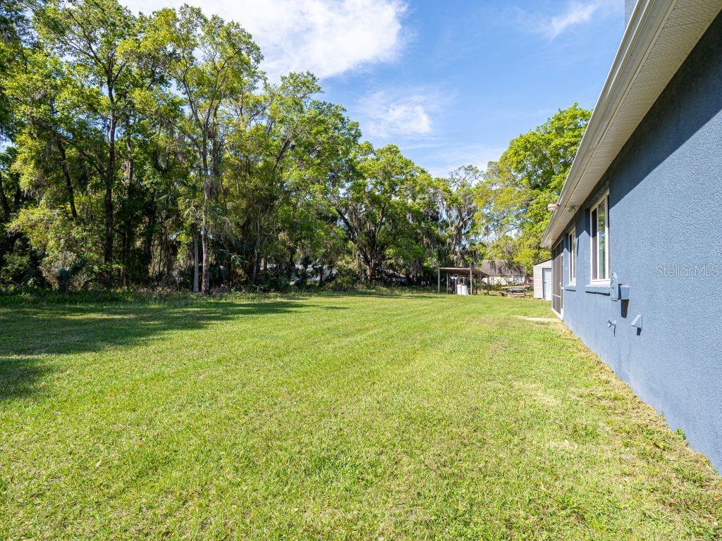 355 BRADDOCK AVE, OSTEEN, FL, 32764
