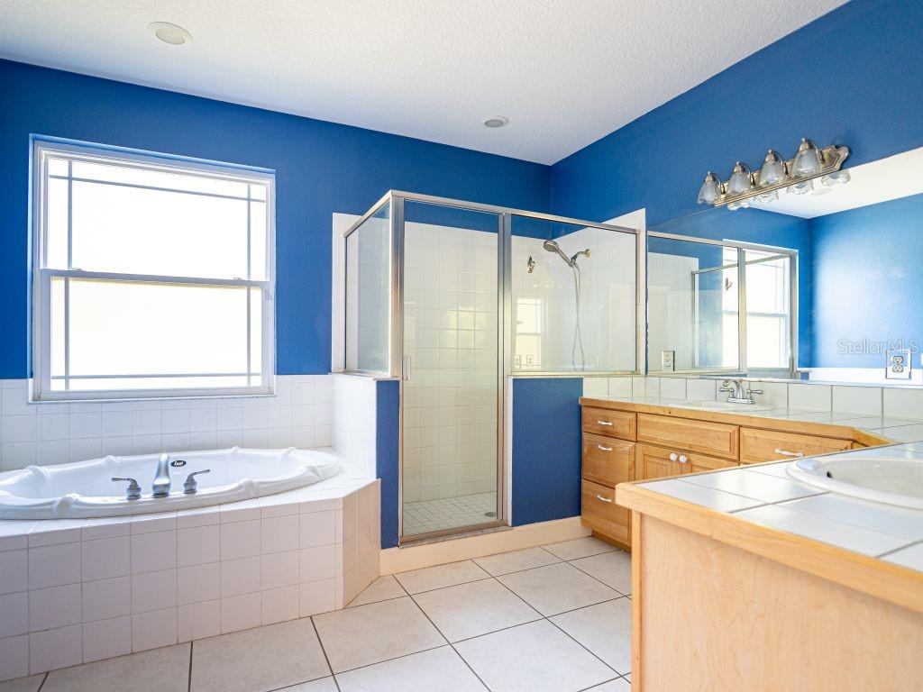355 BRADDOCK AVE, OSTEEN, FL, 32764