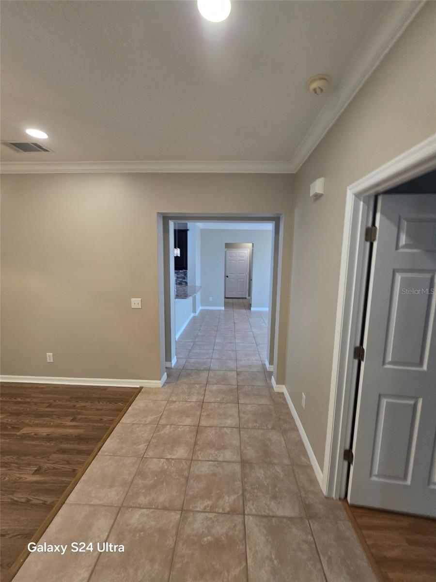 1114 WHITE MOSS LN, KISSIMMEE, FL, 34747