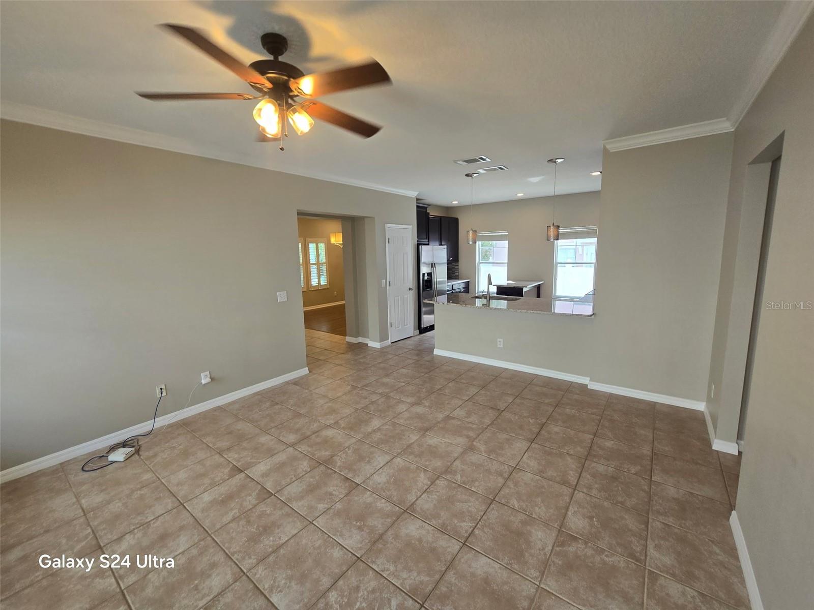 1114 WHITE MOSS LN, KISSIMMEE, FL, 34747