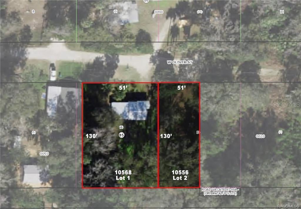 10568 W OLIVER ST, HOMOSASSA, FL, 34448