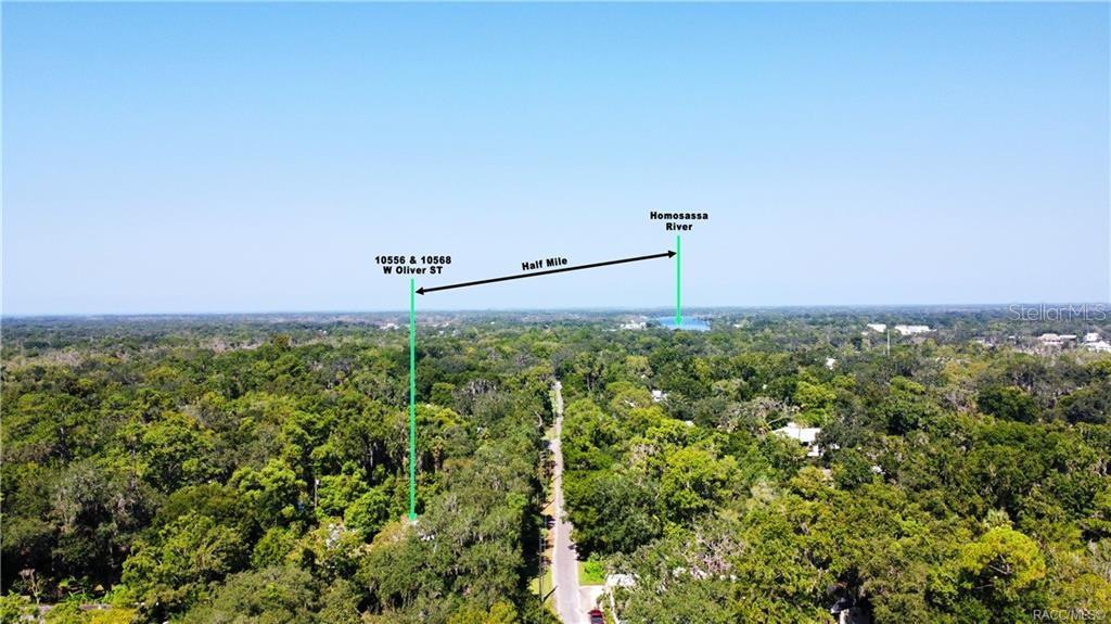 10568 W OLIVER ST, HOMOSASSA, FL, 34448