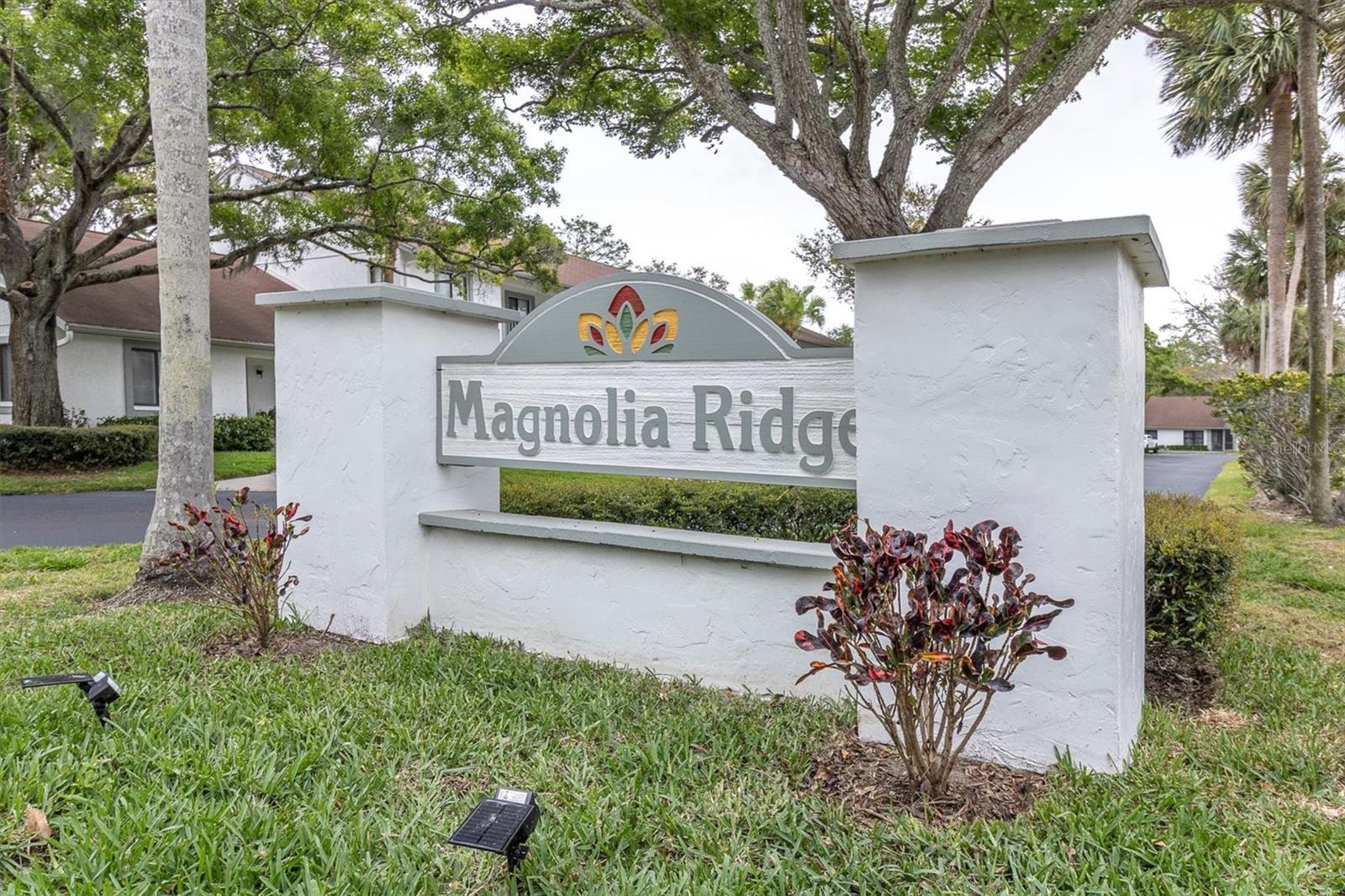 3590 MAGNOLIA RIDGE CIR #1103-C, PALM HARBOR, FL, 34684