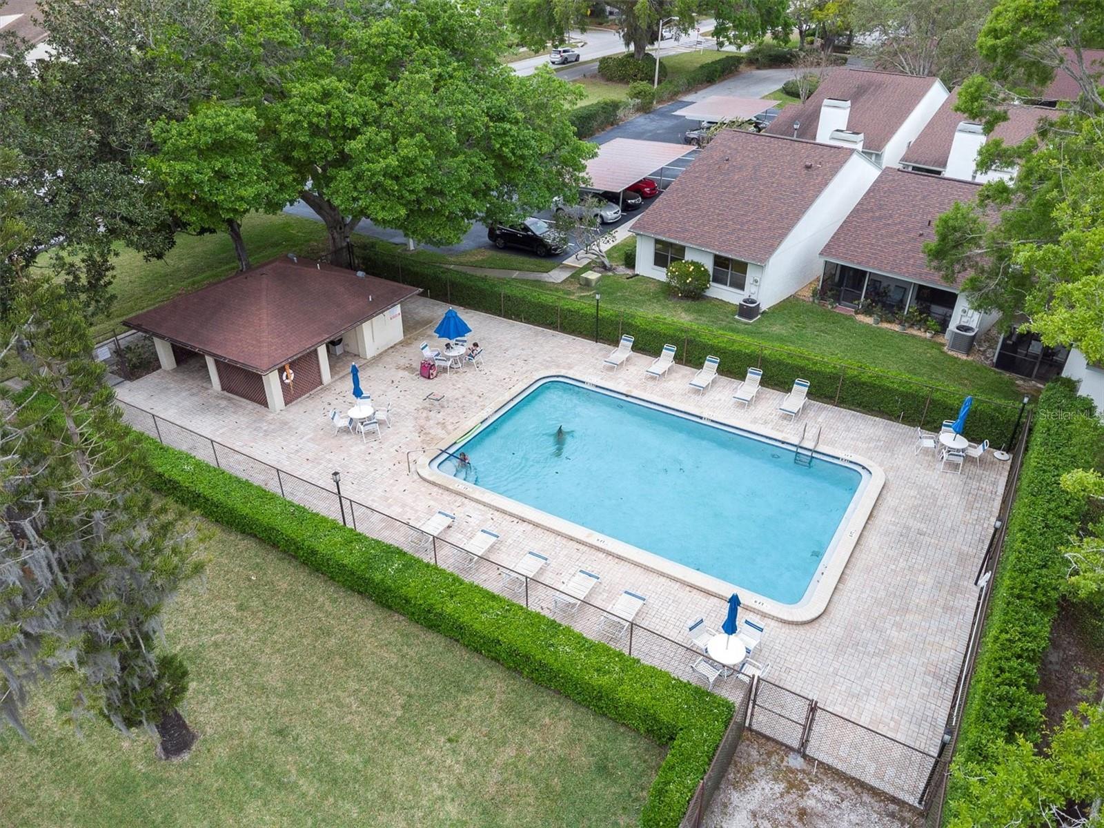 3590 MAGNOLIA RIDGE CIR #1103-C, PALM HARBOR, FL, 34684