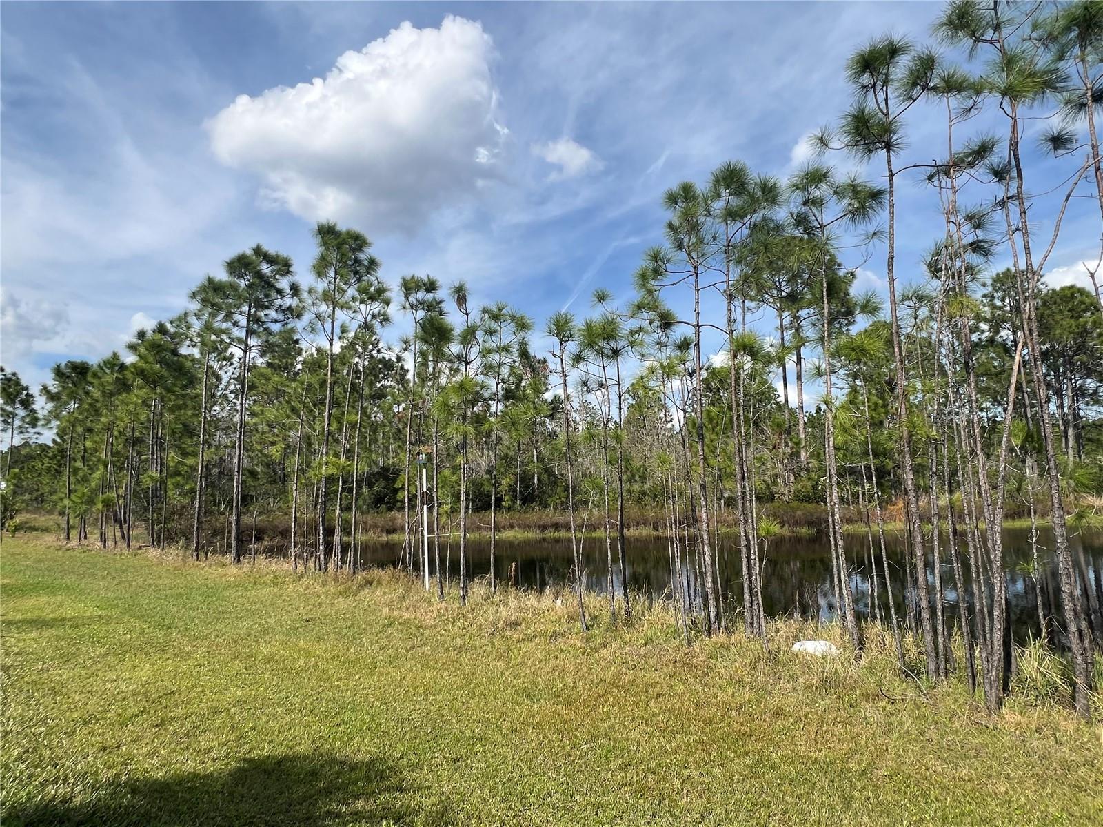 771 GRAND RESERVE, BUNNELL, FL, 32110