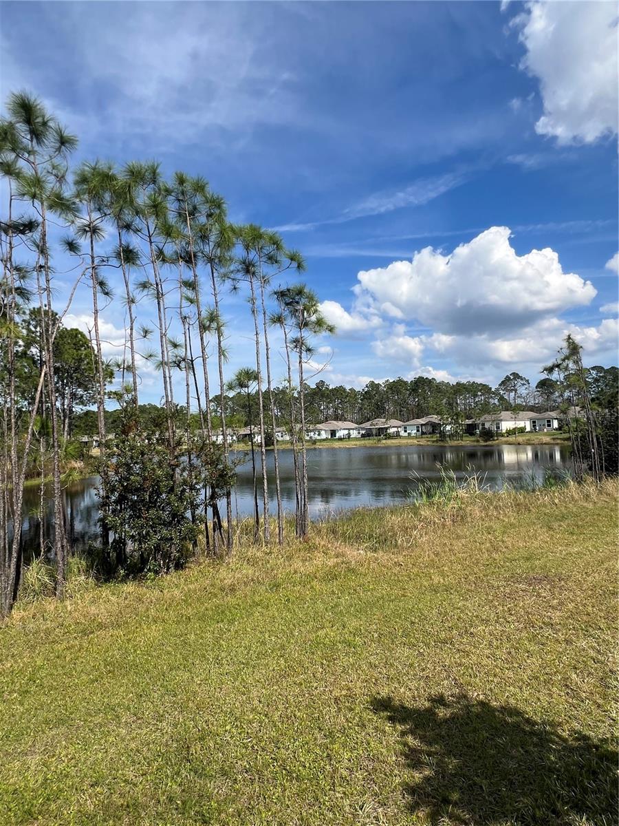 771 GRAND RESERVE, BUNNELL, FL, 32110