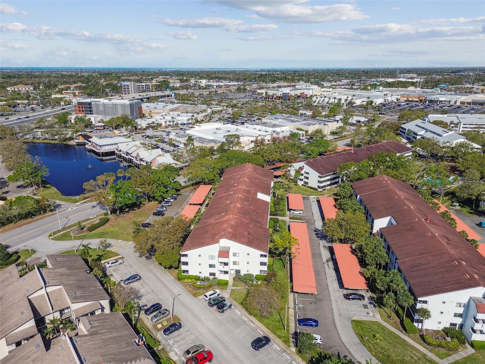2595 COUNTRYSIDE BLVD #8-305, CLEARWATER, FL, 33761