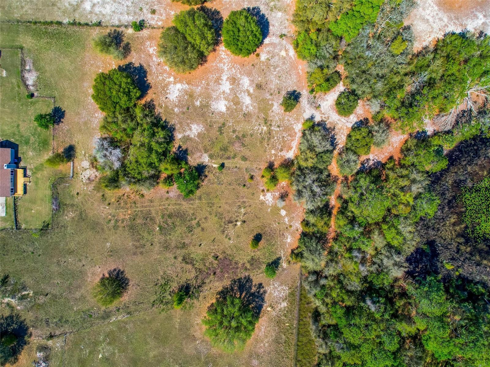 41636 OUTLAW LN, WEIRSDALE, FL, 32195