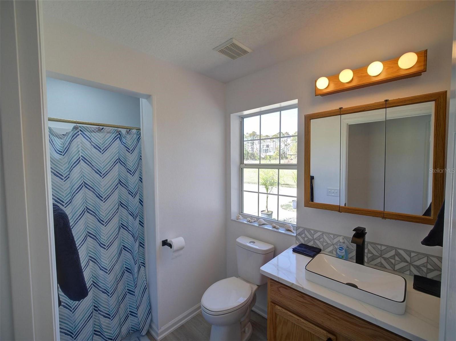 41636 OUTLAW LN, WEIRSDALE, FL, 32195