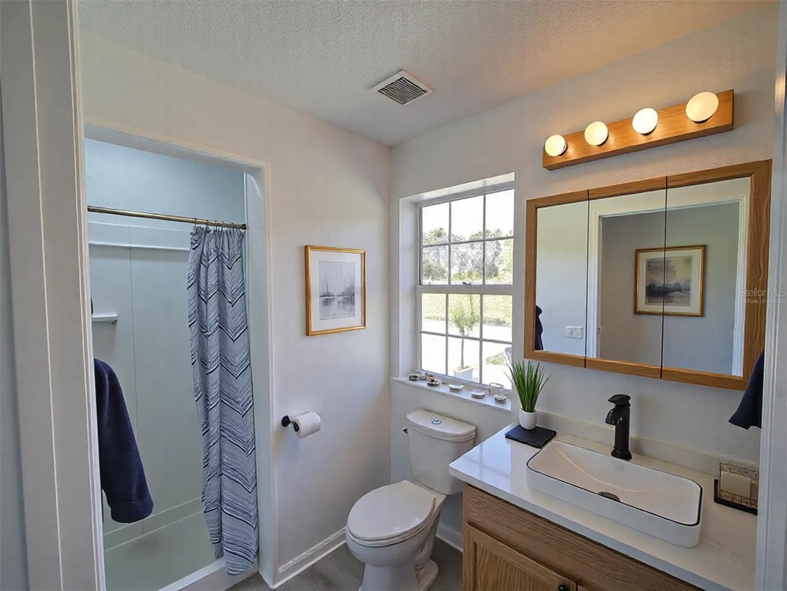 41636 OUTLAW LN, WEIRSDALE, FL, 32195