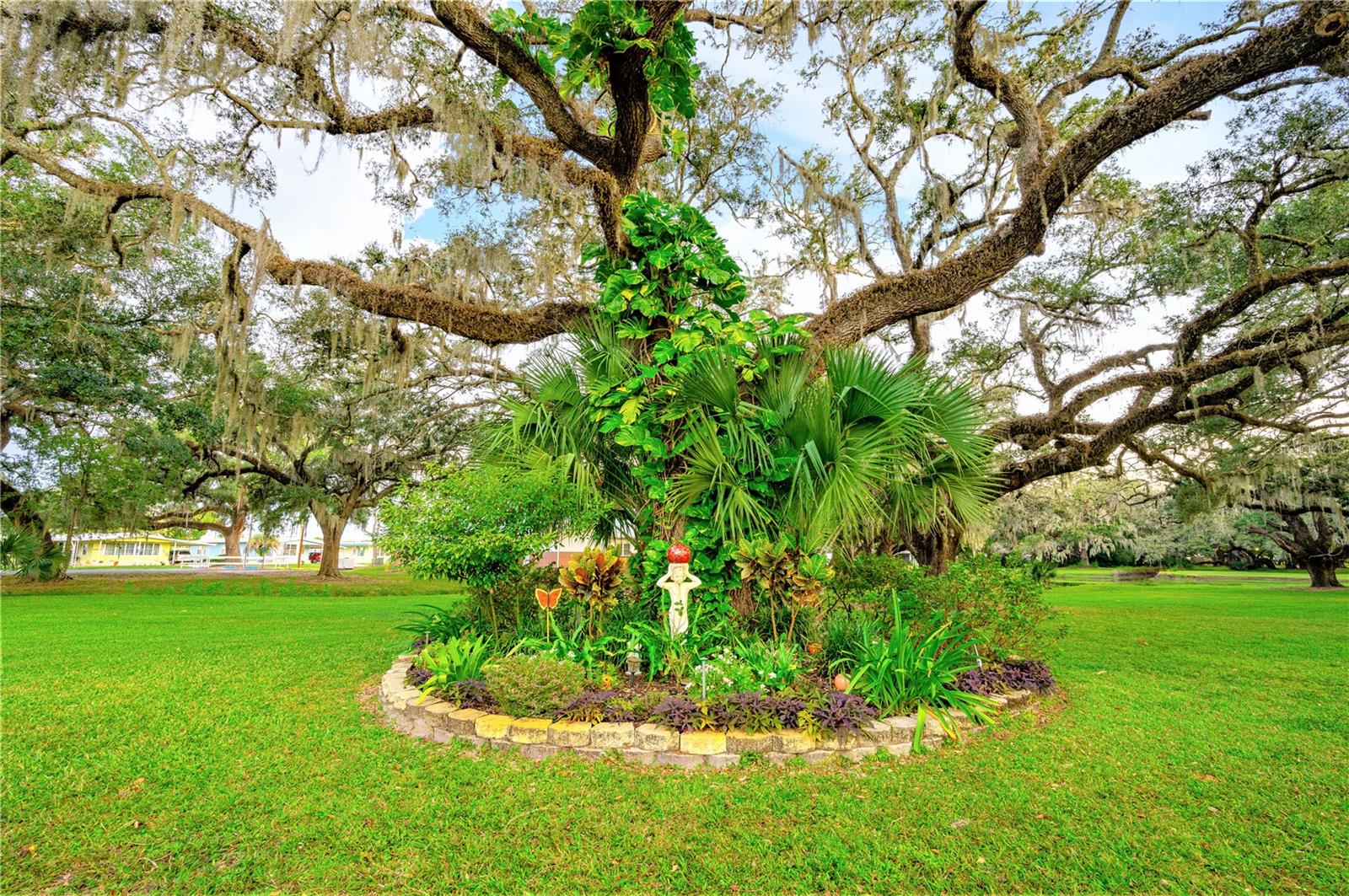 5350 MOHAWK ST, ZEPHYRHILLS, FL, 33542