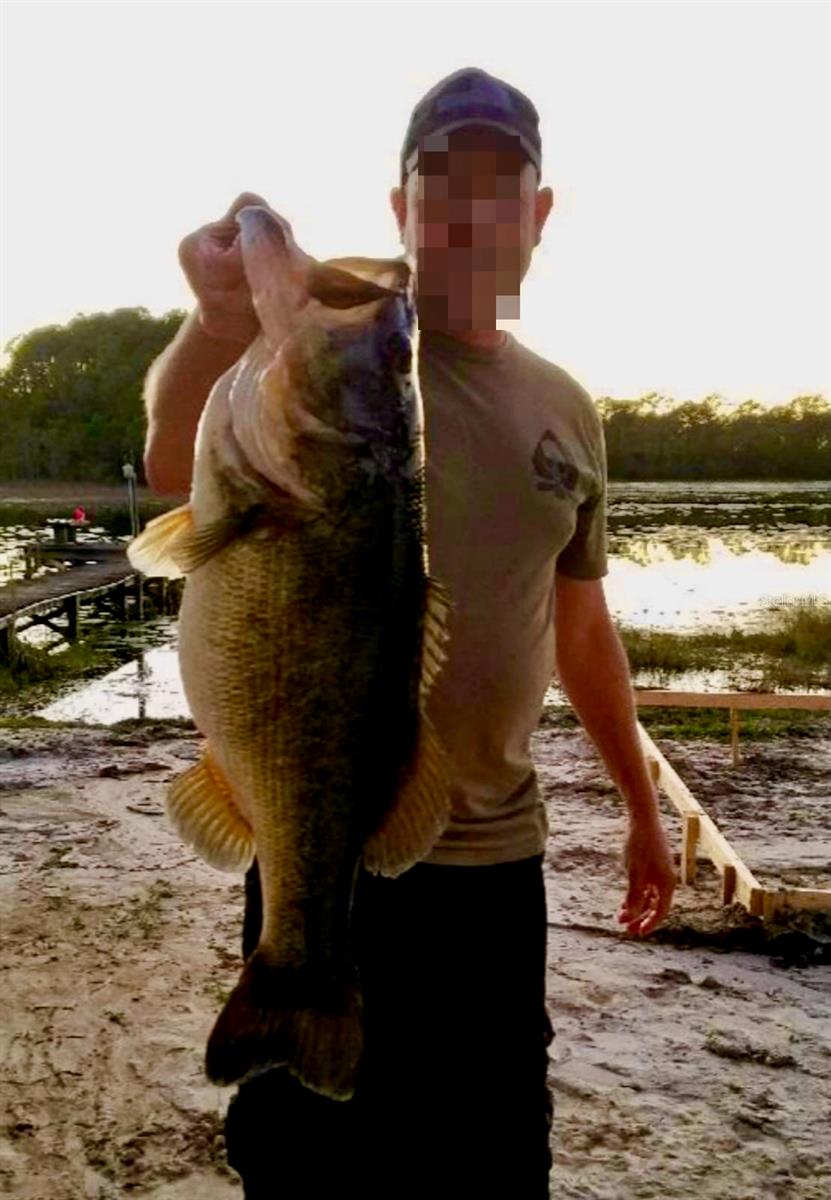 318 MITNIK DR, DELTONA, FL, 32738