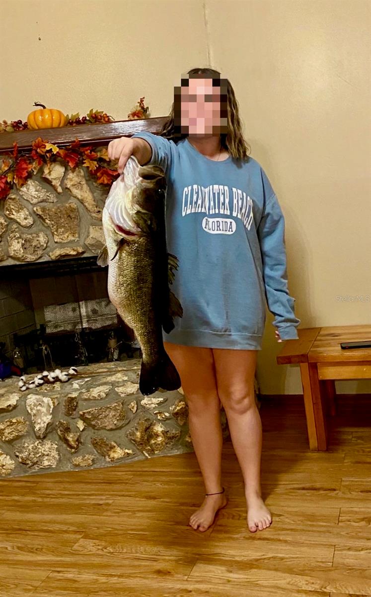 318 MITNIK DR, DELTONA, FL, 32738