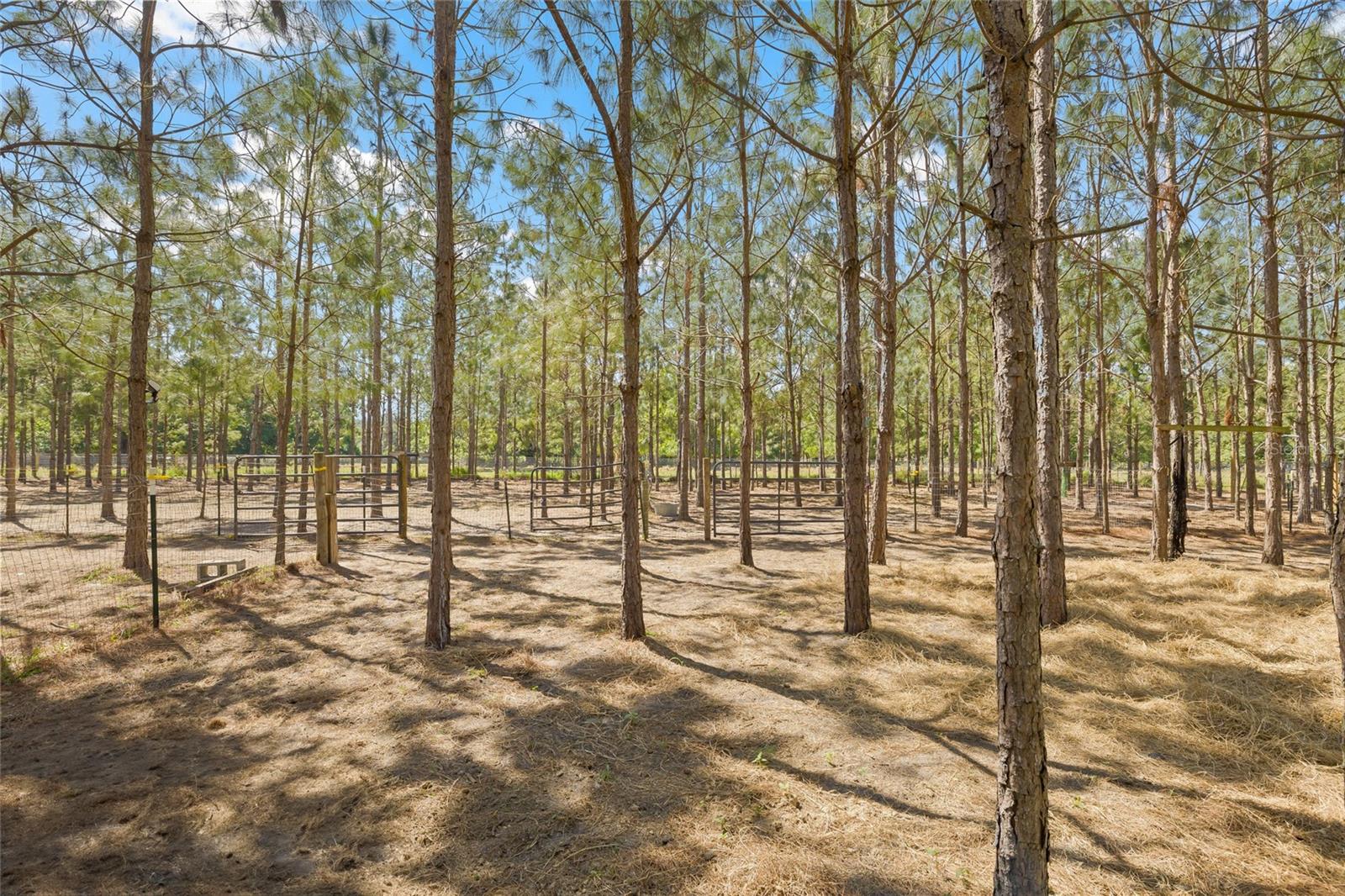 4305 HAMILTON RD, LAKELAND, FL, 33811