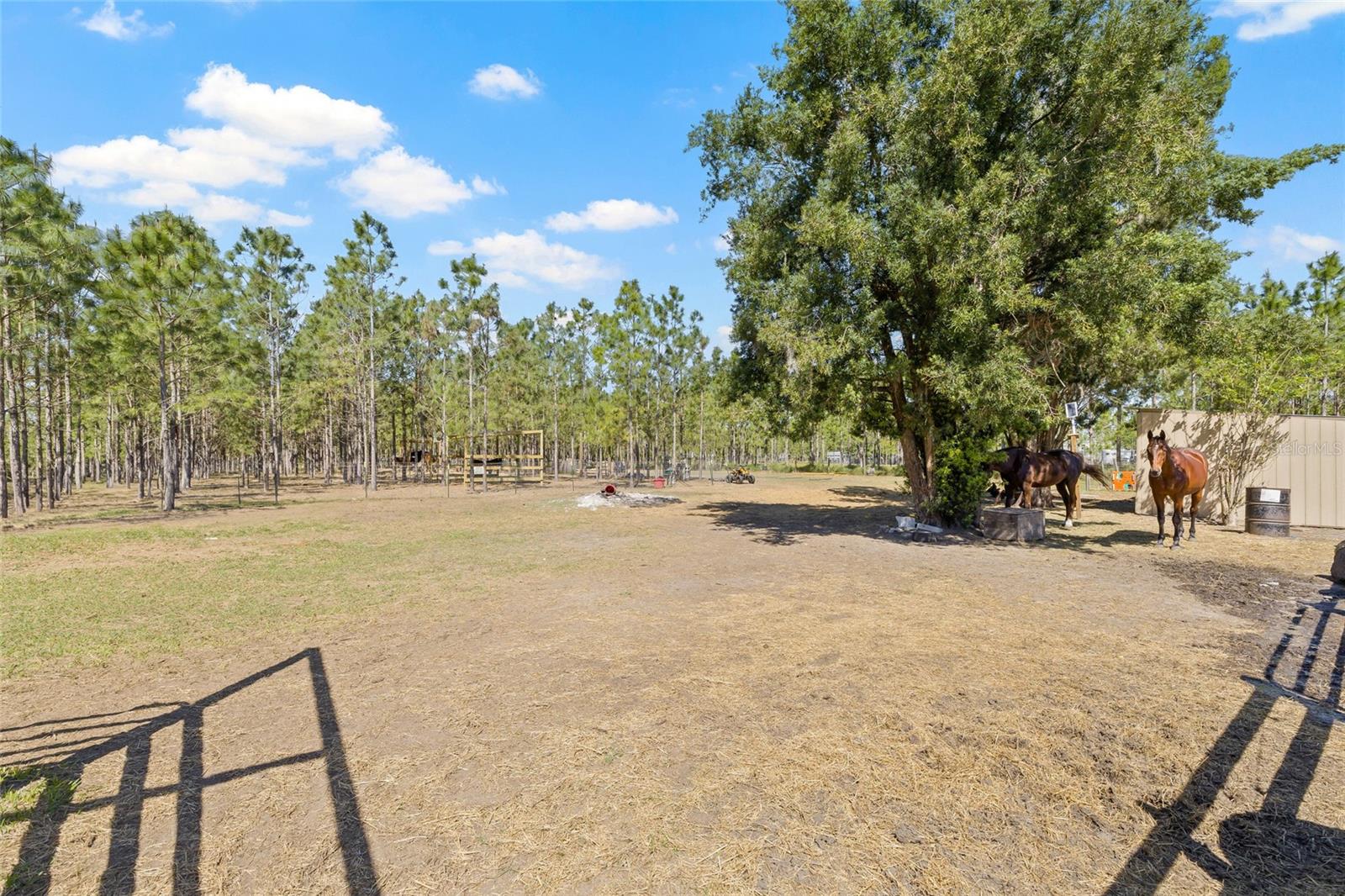 4305 HAMILTON RD, LAKELAND, FL, 33811