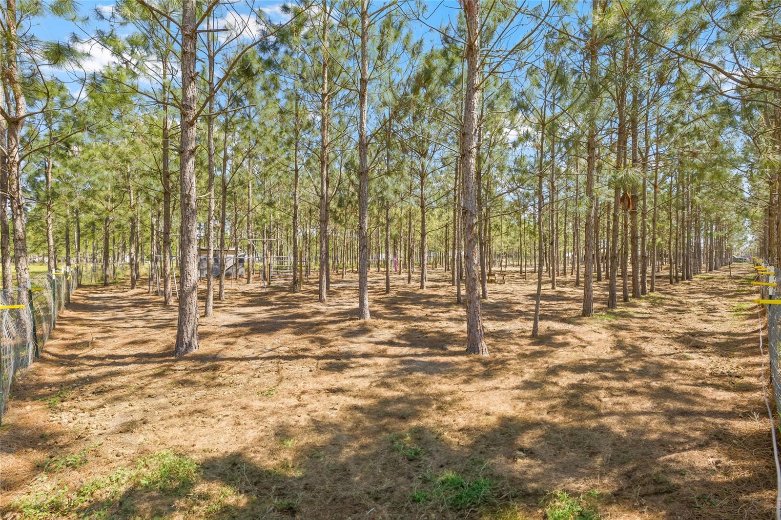 4305 HAMILTON RD, LAKELAND, FL, 33811