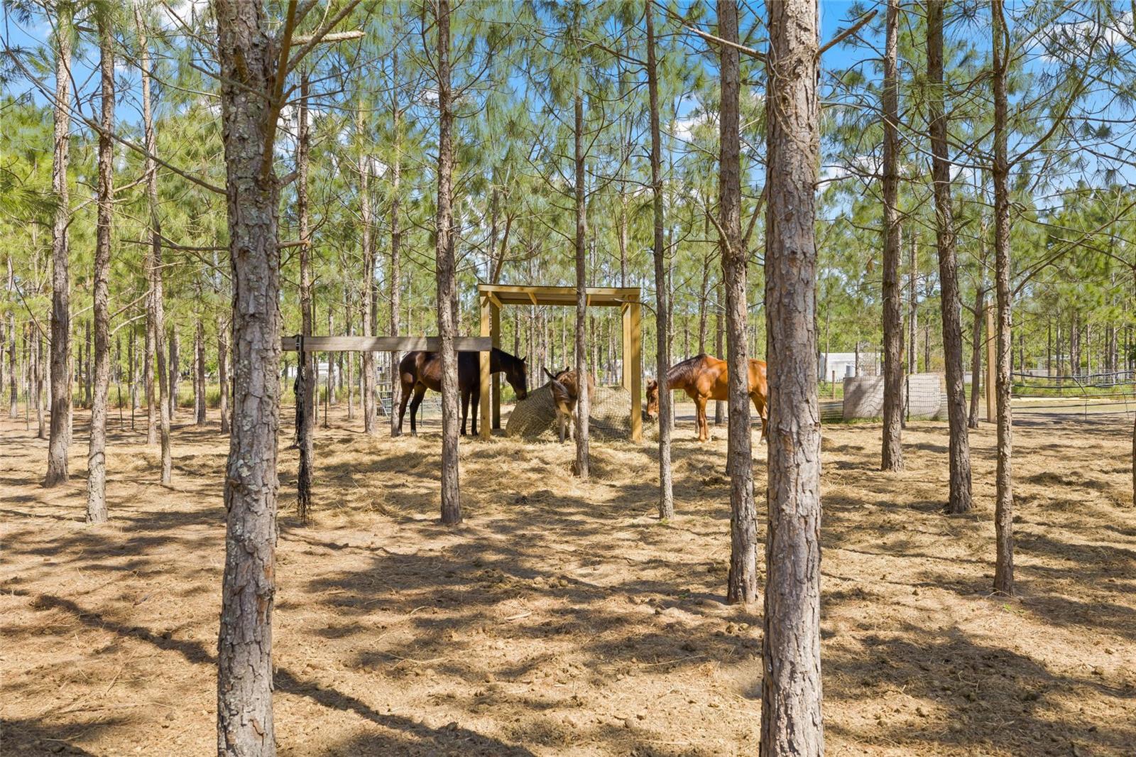 4305 HAMILTON RD, LAKELAND, FL, 33811