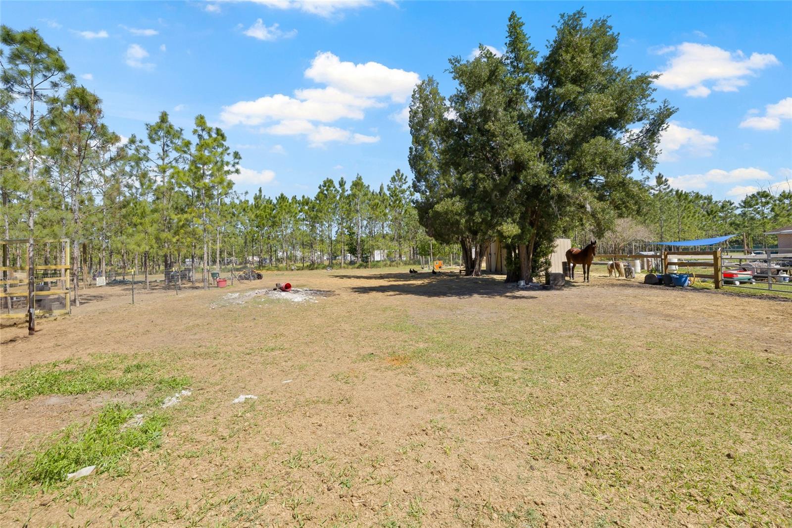 4305 HAMILTON RD, LAKELAND, FL, 33811