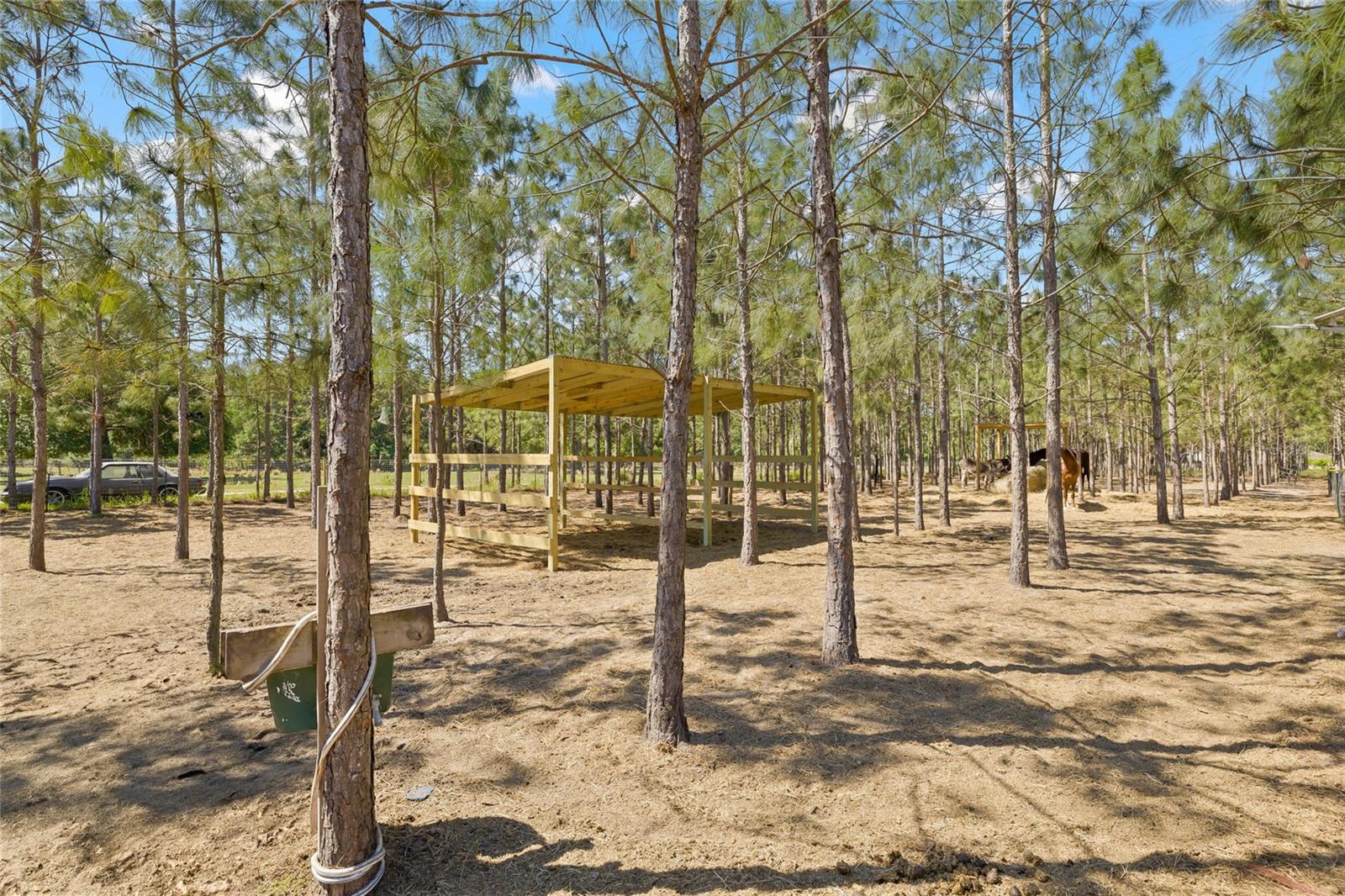 4305 HAMILTON RD, LAKELAND, FL, 33811
